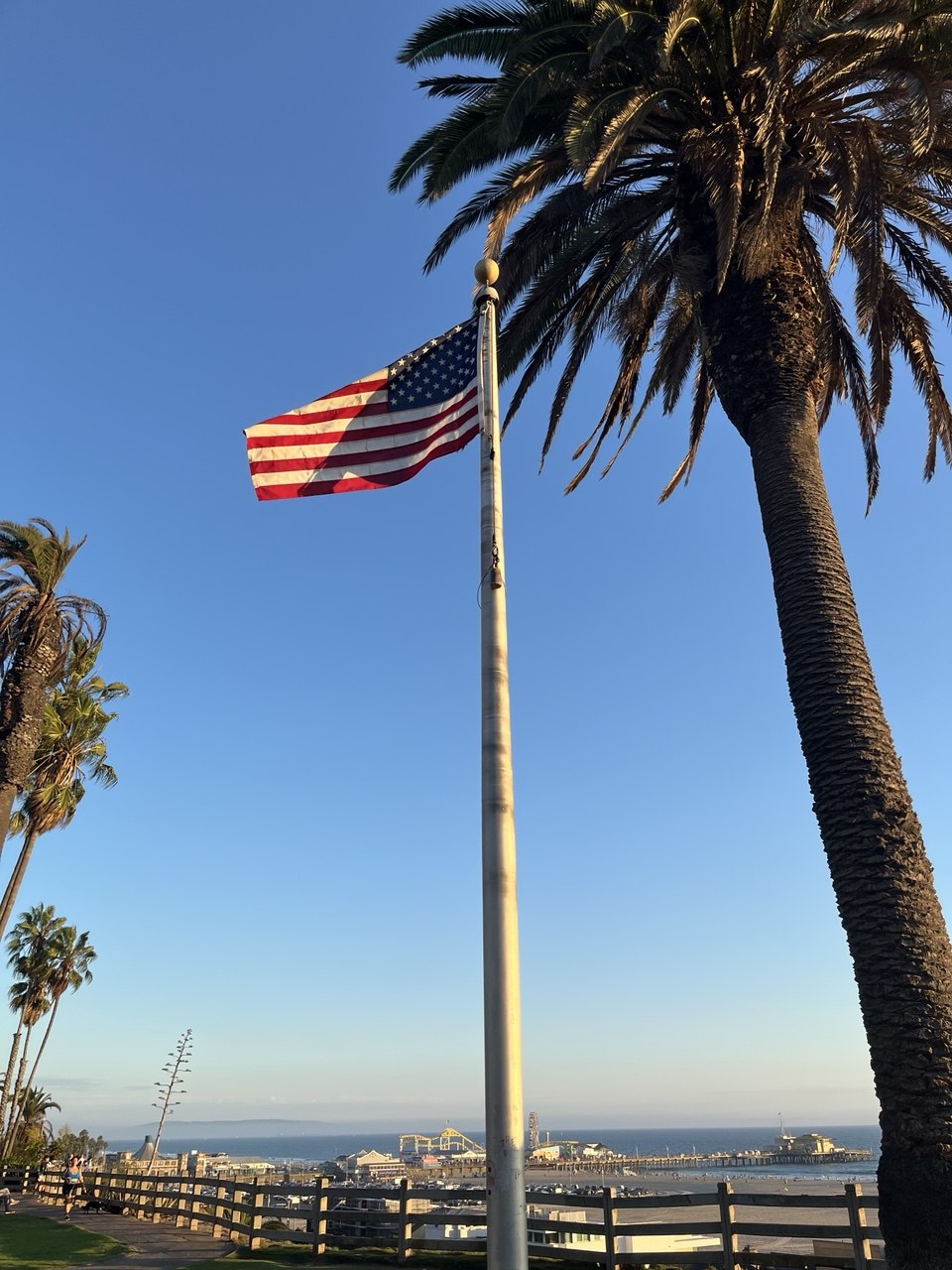 Flag and palm tree above Santa Monica Pier